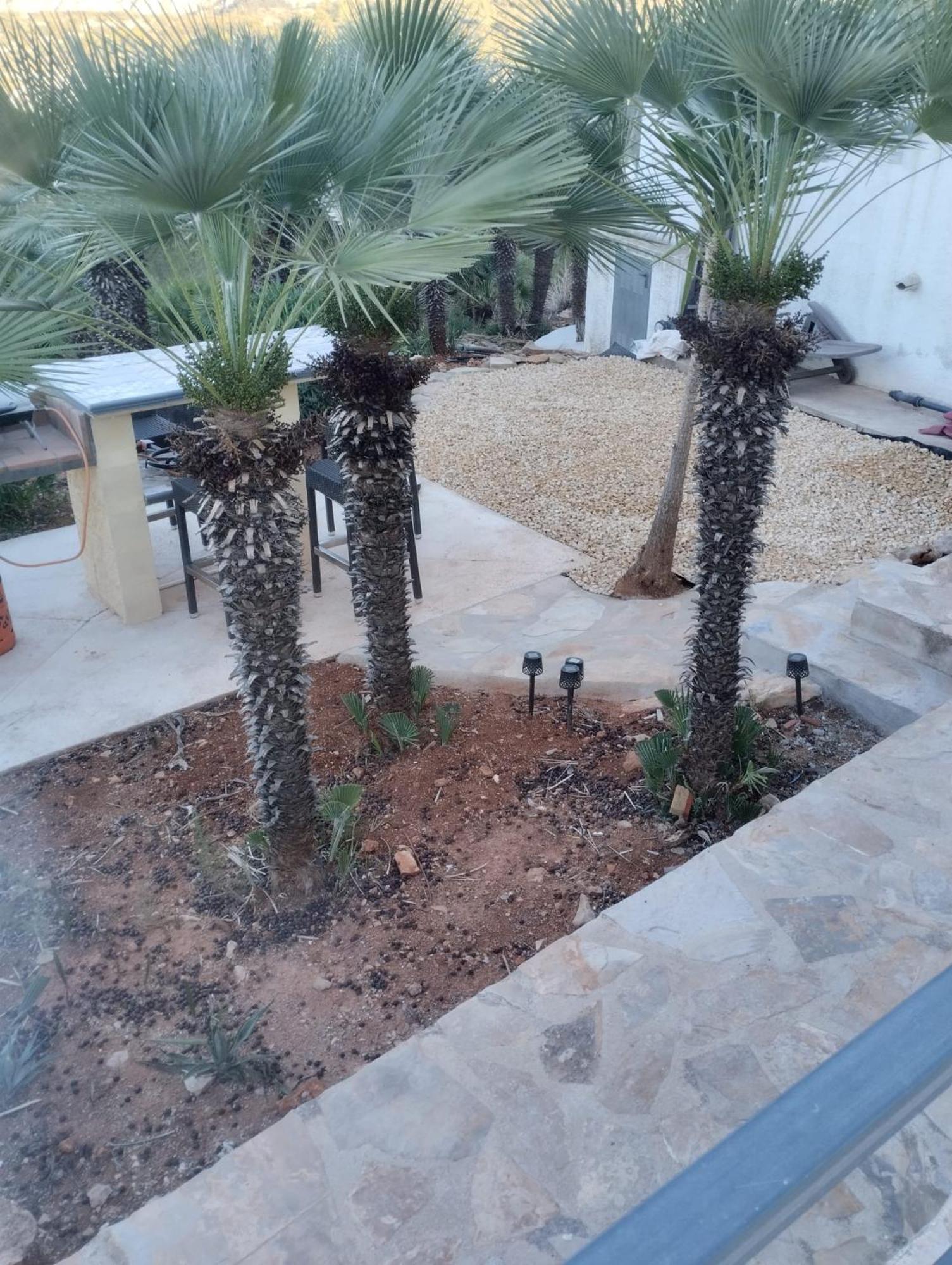 Luxe Appartement Met Tuin Benidoleig Luaran gambar